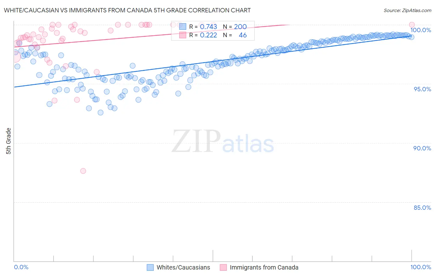White/Caucasian vs Immigrants from Canada 5th Grade