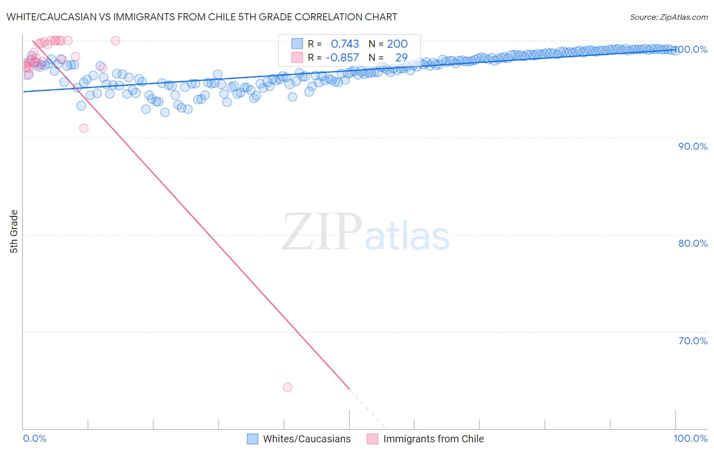 White/Caucasian vs Immigrants from Chile 5th Grade