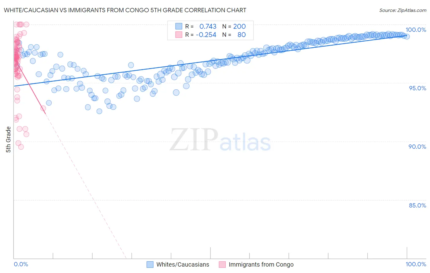 White/Caucasian vs Immigrants from Congo 5th Grade