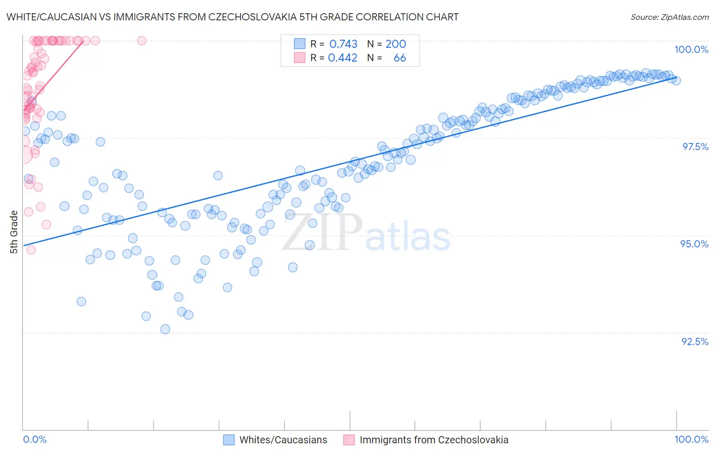 White/Caucasian vs Immigrants from Czechoslovakia 5th Grade