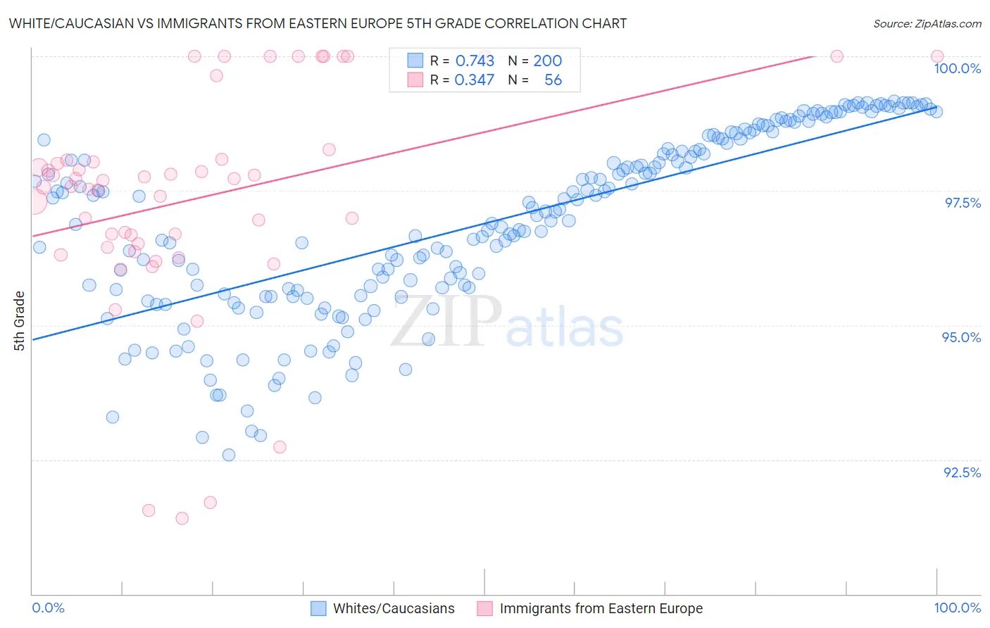 White/Caucasian vs Immigrants from Eastern Europe 5th Grade