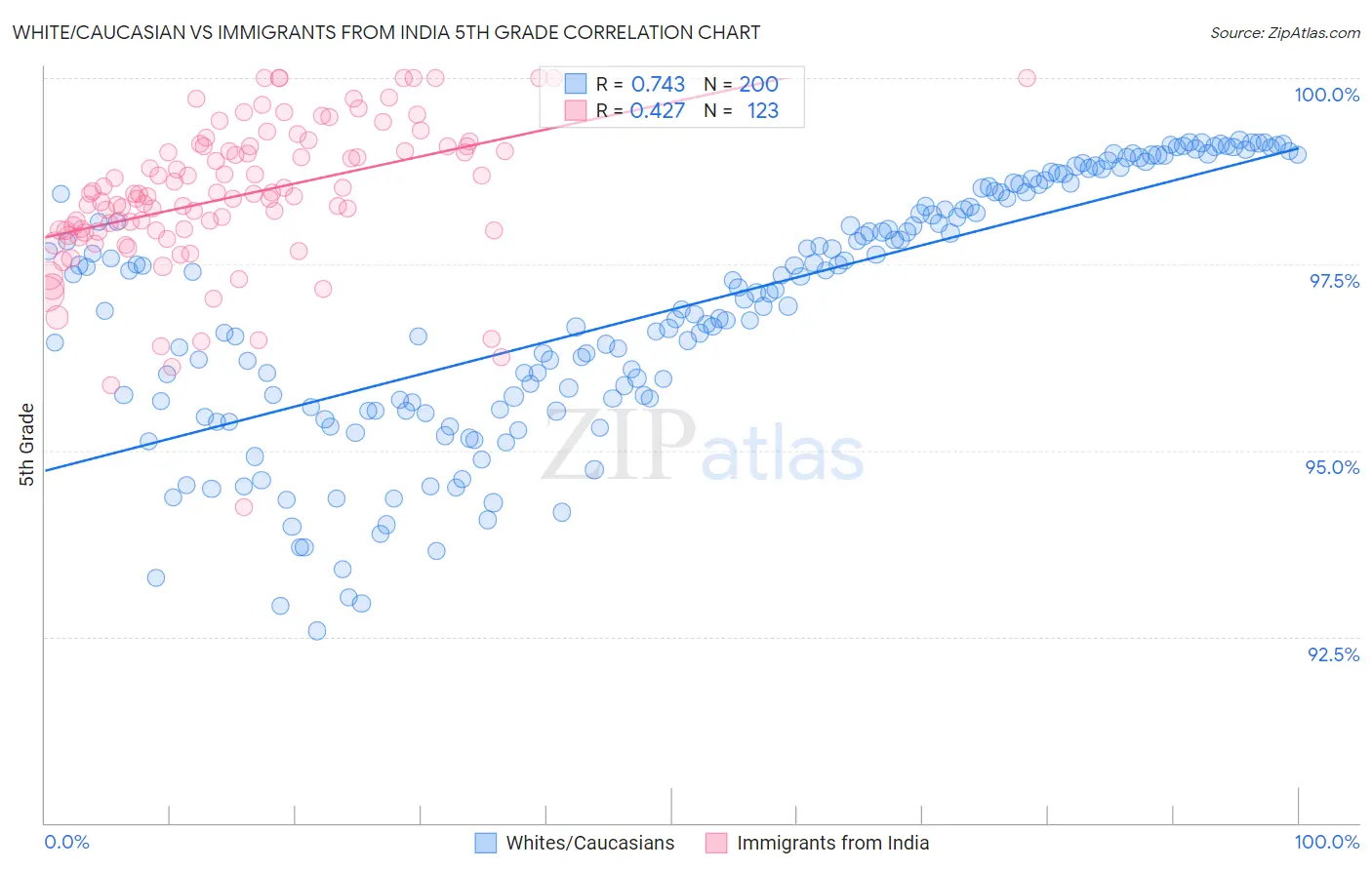 White/Caucasian vs Immigrants from India 5th Grade