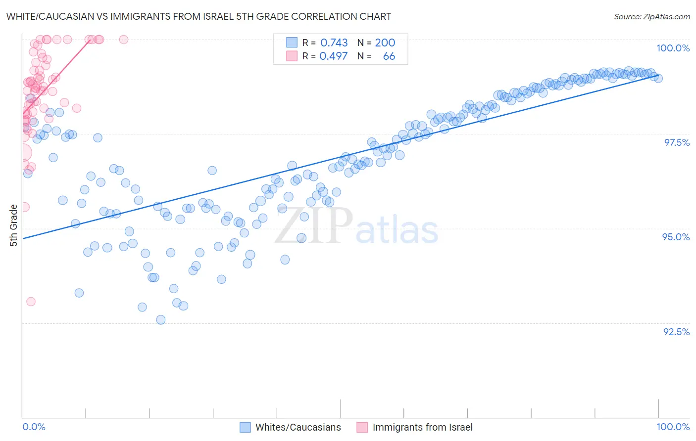 White/Caucasian vs Immigrants from Israel 5th Grade