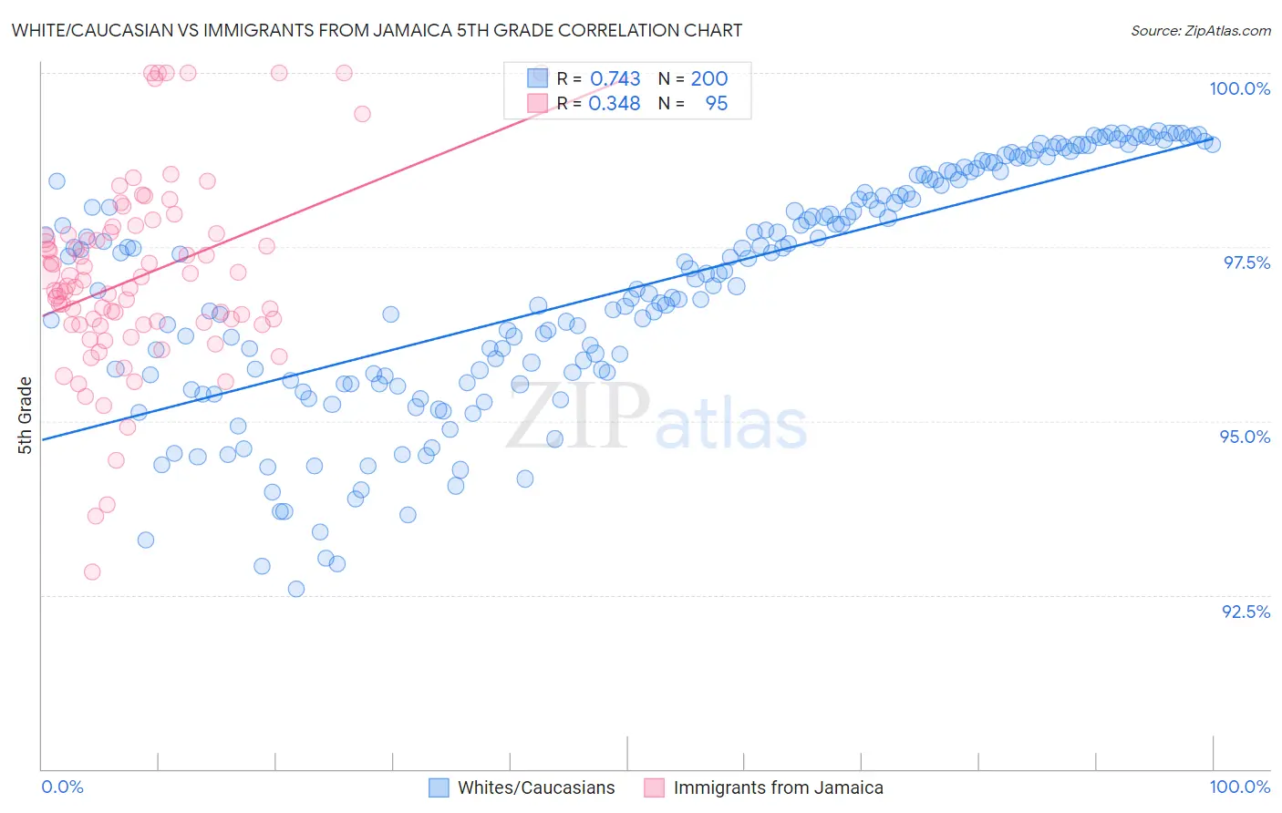 White/Caucasian vs Immigrants from Jamaica 5th Grade