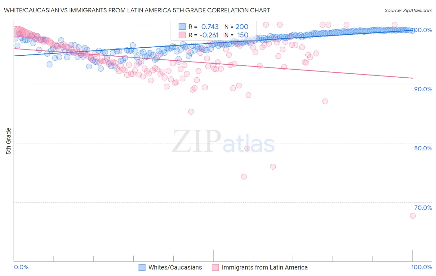 White/Caucasian vs Immigrants from Latin America 5th Grade