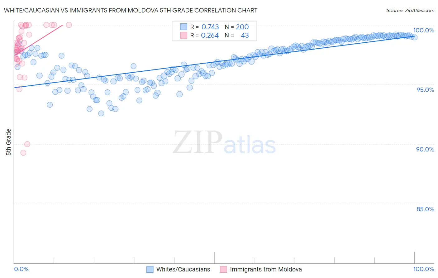 White/Caucasian vs Immigrants from Moldova 5th Grade