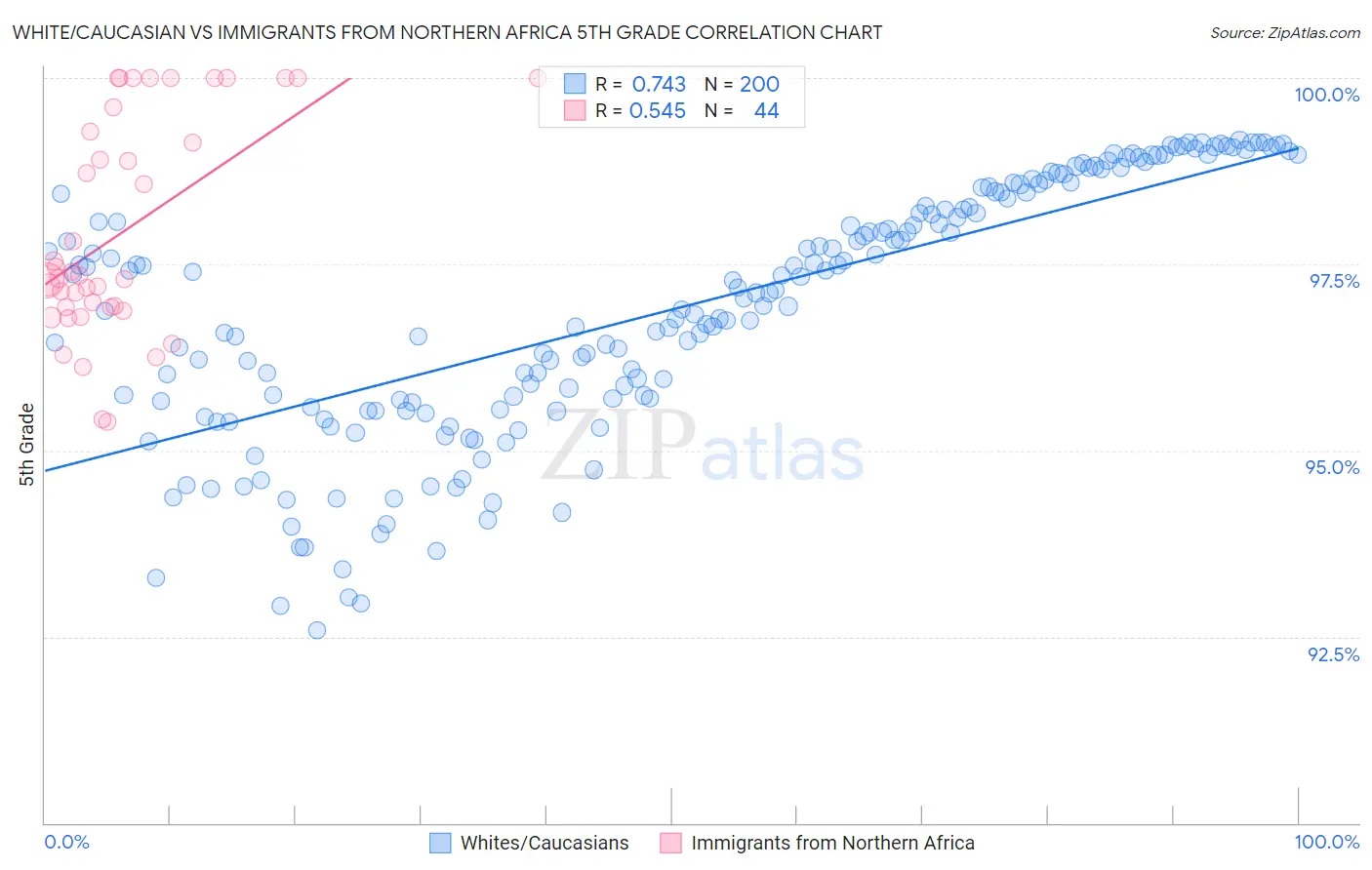 White/Caucasian vs Immigrants from Northern Africa 5th Grade