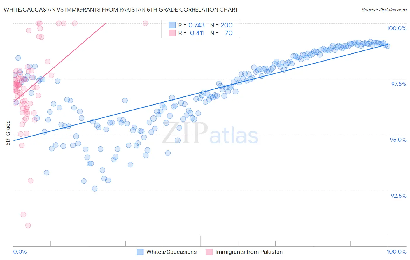 White/Caucasian vs Immigrants from Pakistan 5th Grade