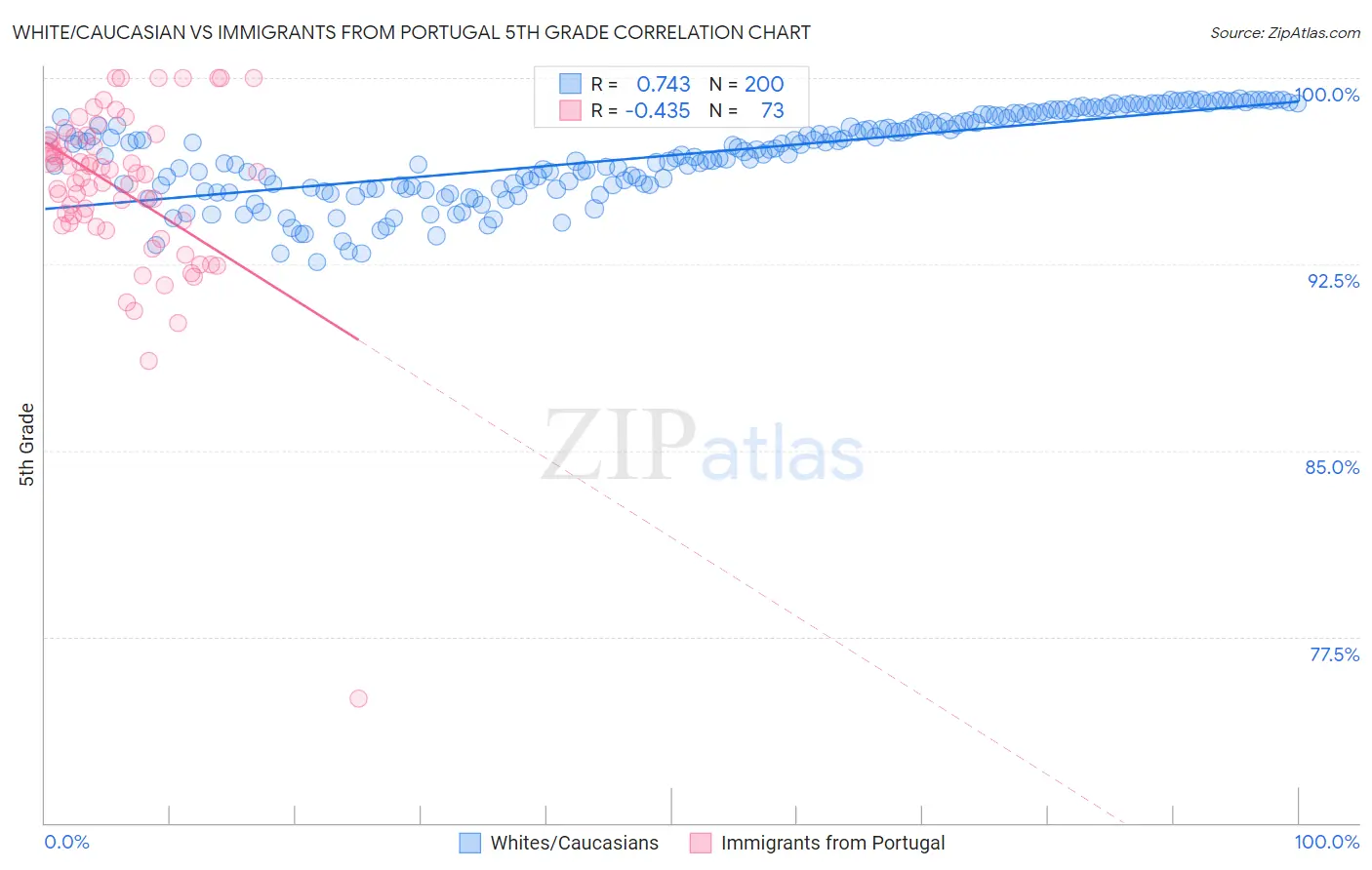 White/Caucasian vs Immigrants from Portugal 5th Grade