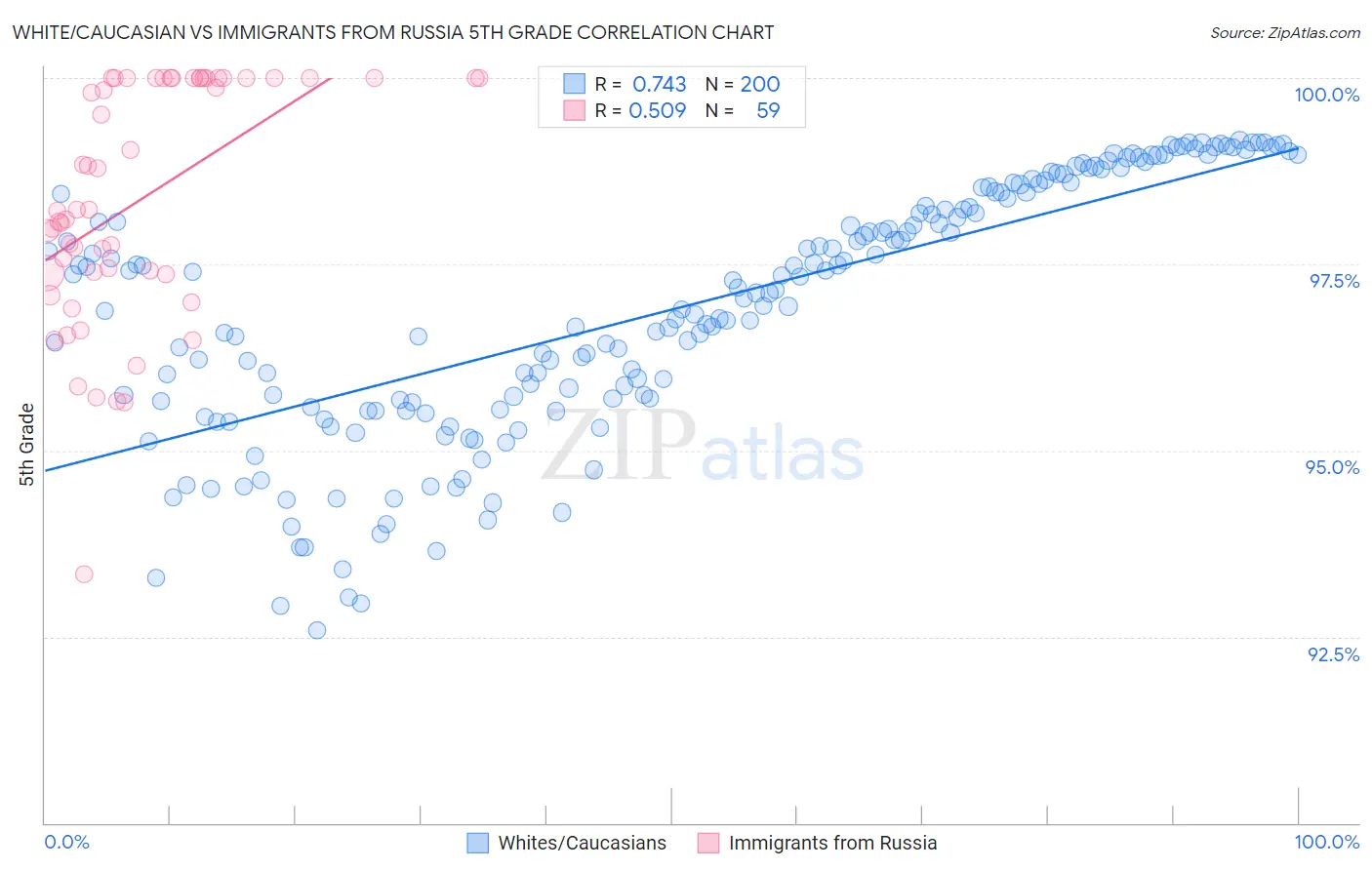 White/Caucasian vs Immigrants from Russia 5th Grade