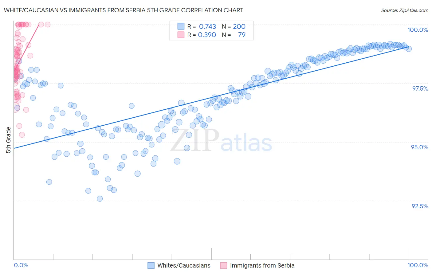 White/Caucasian vs Immigrants from Serbia 5th Grade