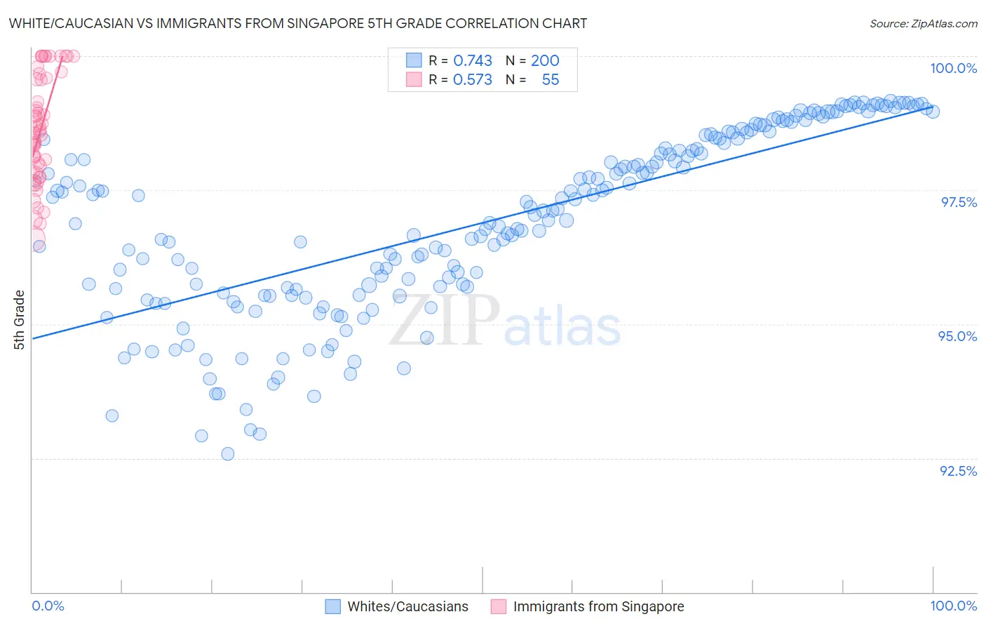 White/Caucasian vs Immigrants from Singapore 5th Grade