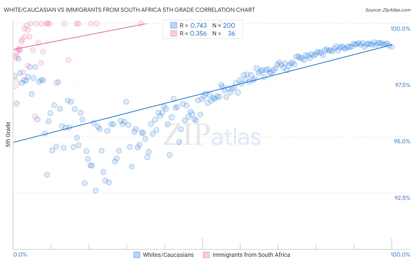 White/Caucasian vs Immigrants from South Africa 5th Grade