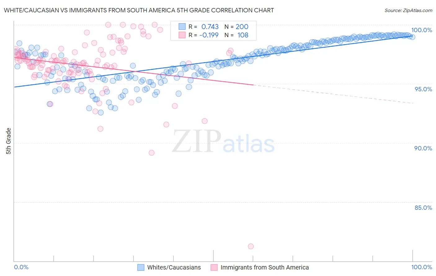 White/Caucasian vs Immigrants from South America 5th Grade