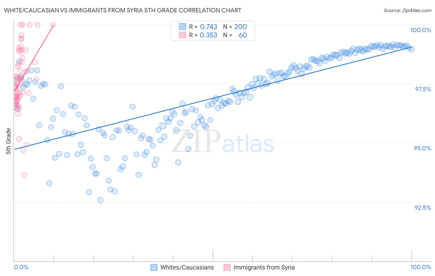 White/Caucasian vs Immigrants from Syria 5th Grade