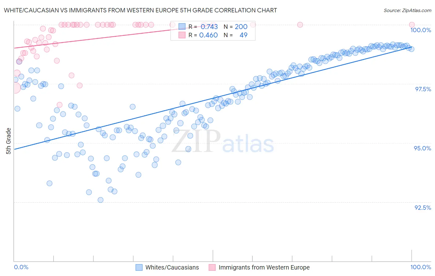 White/Caucasian vs Immigrants from Western Europe 5th Grade