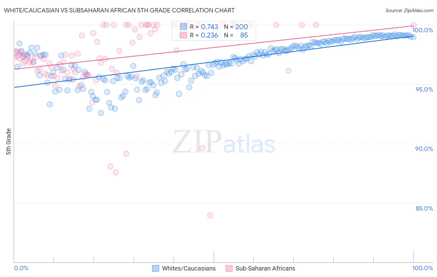 White/Caucasian vs Subsaharan African 5th Grade