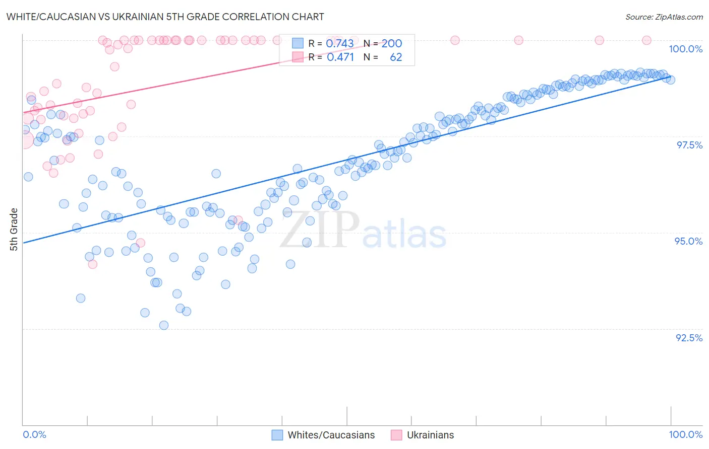 White/Caucasian vs Ukrainian 5th Grade