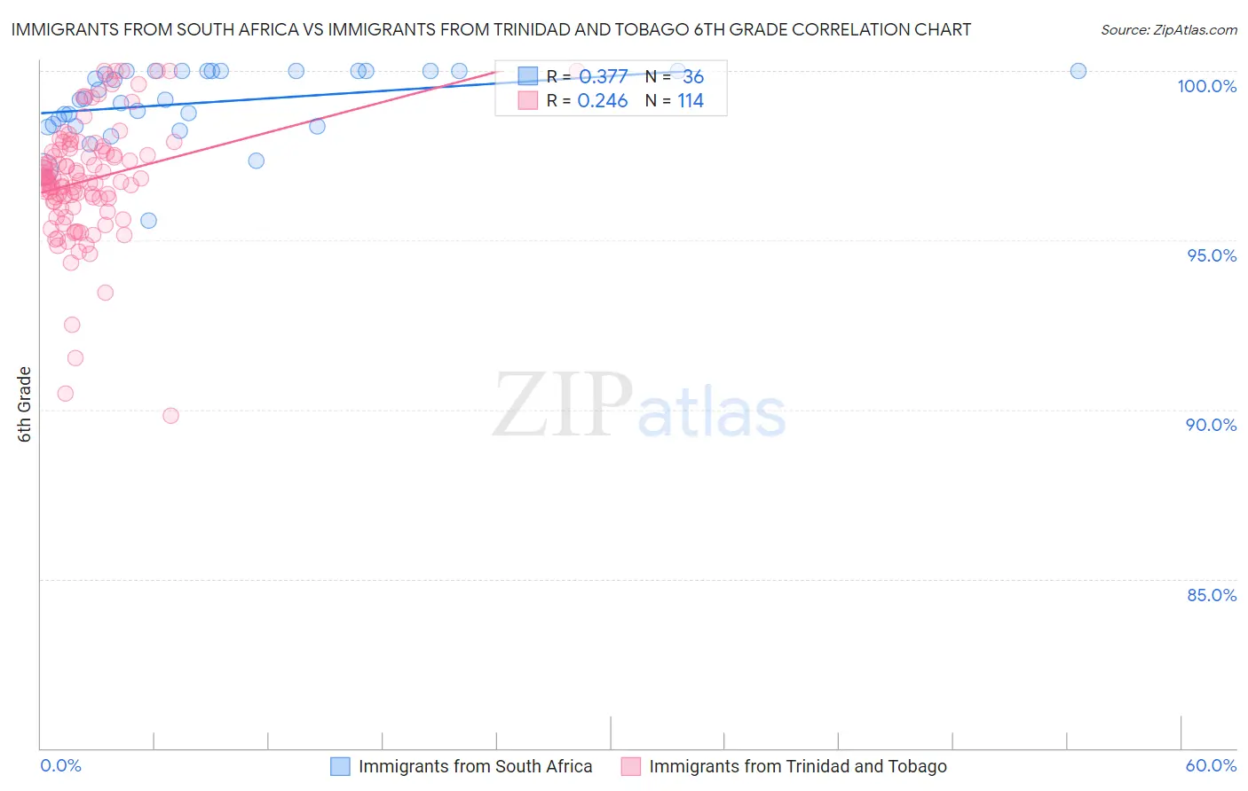 Immigrants from South Africa vs Immigrants from Trinidad and Tobago 6th Grade