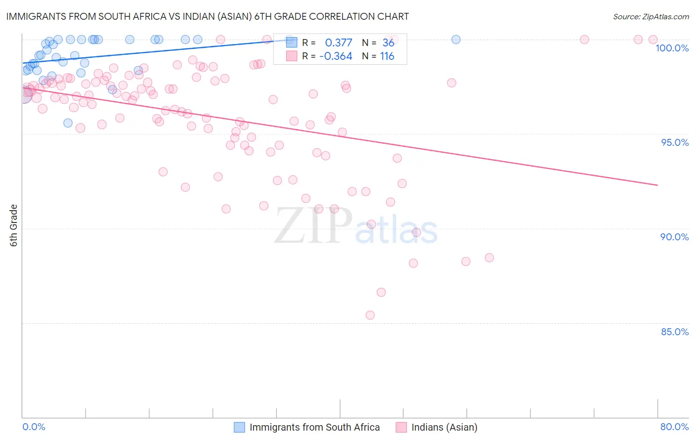 Immigrants from South Africa vs Indian (Asian) 6th Grade