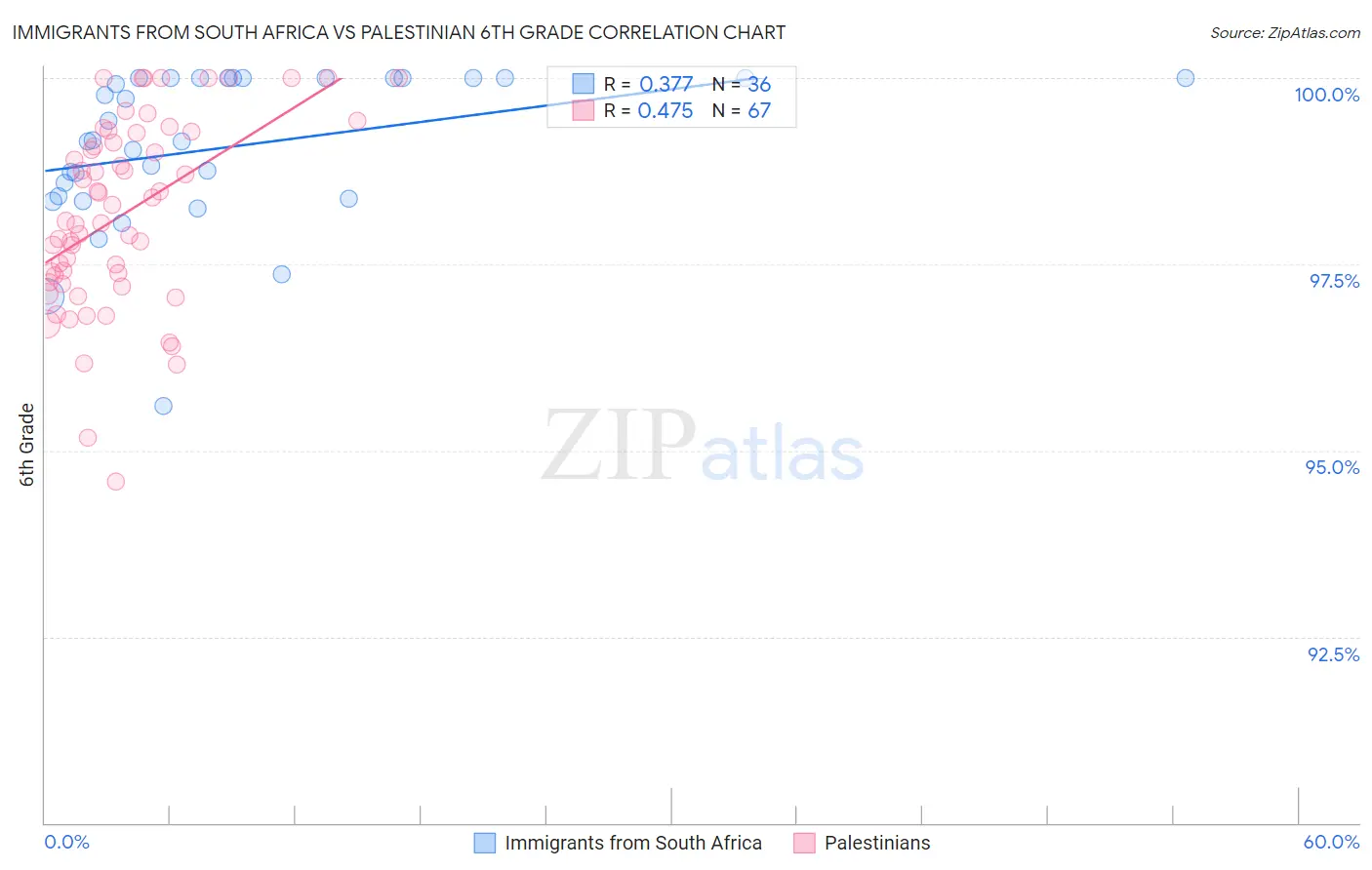 Immigrants from South Africa vs Palestinian 6th Grade