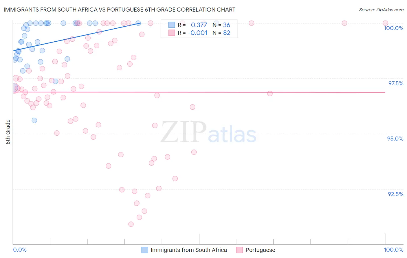 Immigrants from South Africa vs Portuguese 6th Grade
