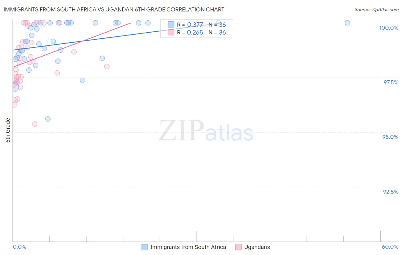 Immigrants from South Africa vs Ugandan 6th Grade