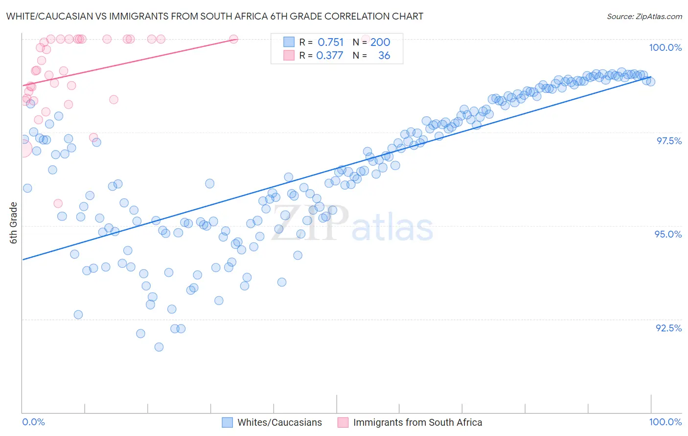 White/Caucasian vs Immigrants from South Africa 6th Grade