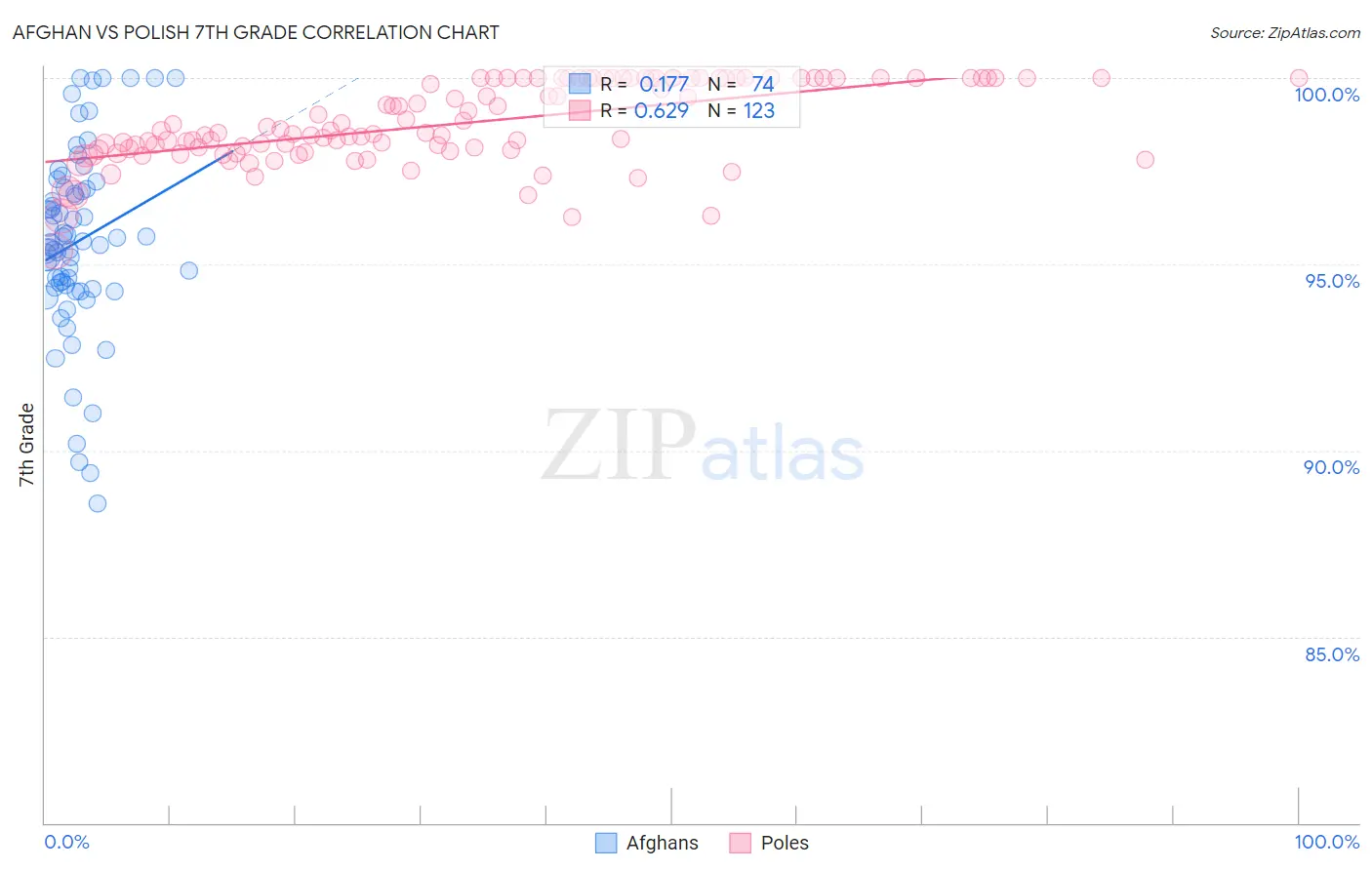 Afghan vs Polish 7th Grade