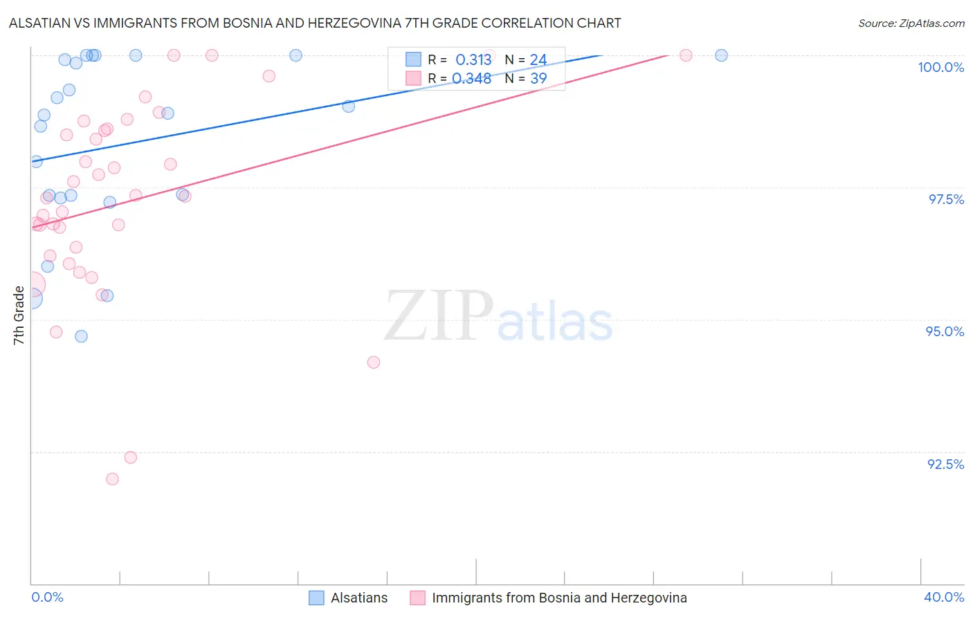 Alsatian vs Immigrants from Bosnia and Herzegovina 7th Grade