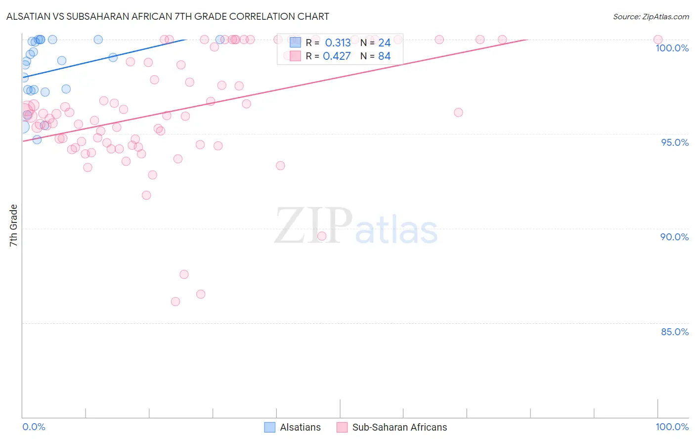 Alsatian vs Subsaharan African 7th Grade
