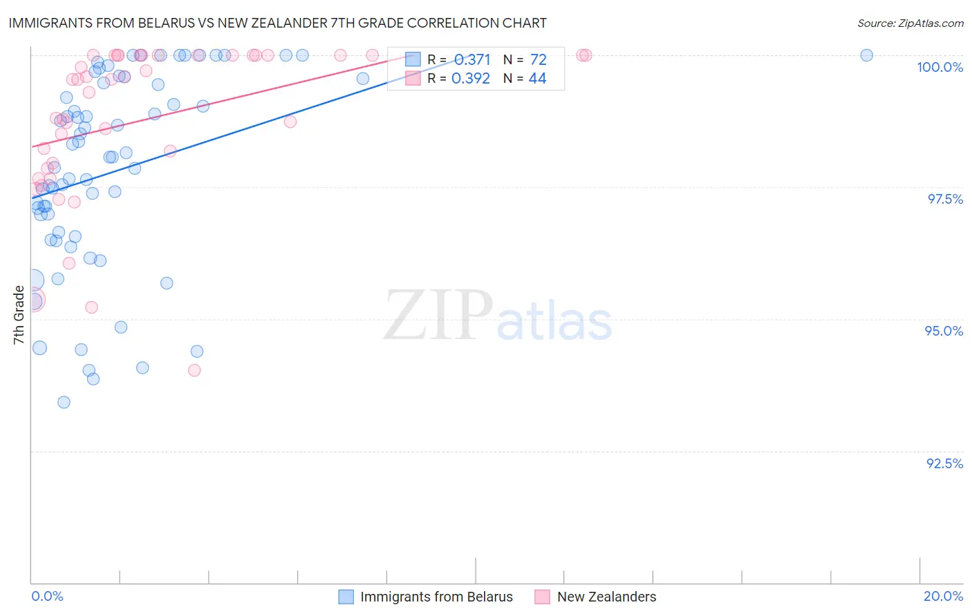 Immigrants from Belarus vs New Zealander 7th Grade