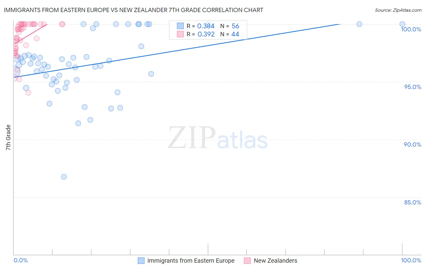 Immigrants from Eastern Europe vs New Zealander 7th Grade
