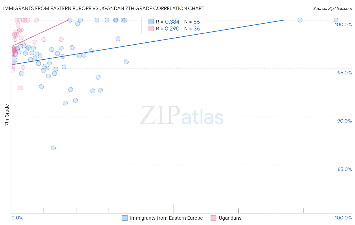 Immigrants from Eastern Europe vs Ugandan 7th Grade