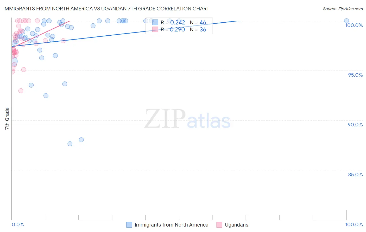 Immigrants from North America vs Ugandan 7th Grade