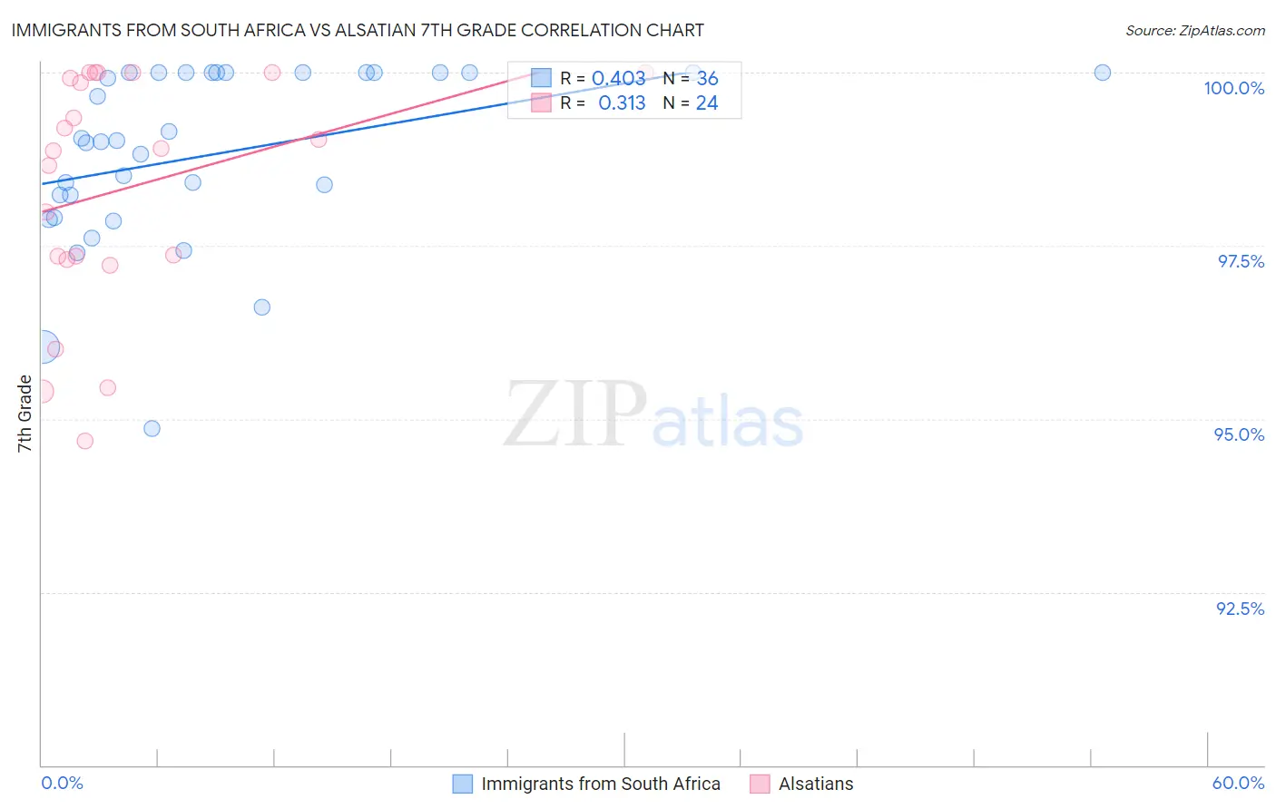 Immigrants from South Africa vs Alsatian 7th Grade