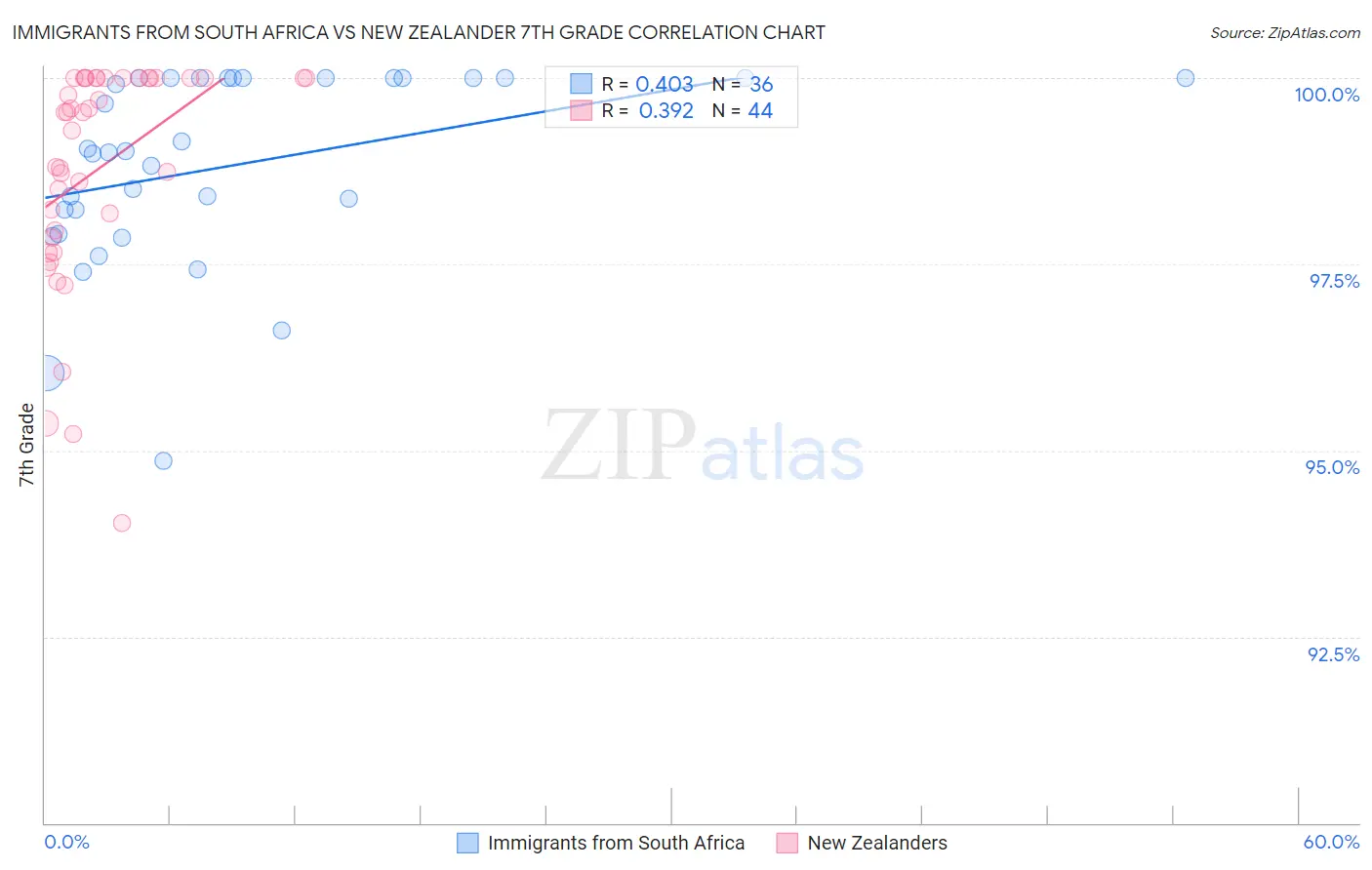 Immigrants from South Africa vs New Zealander 7th Grade