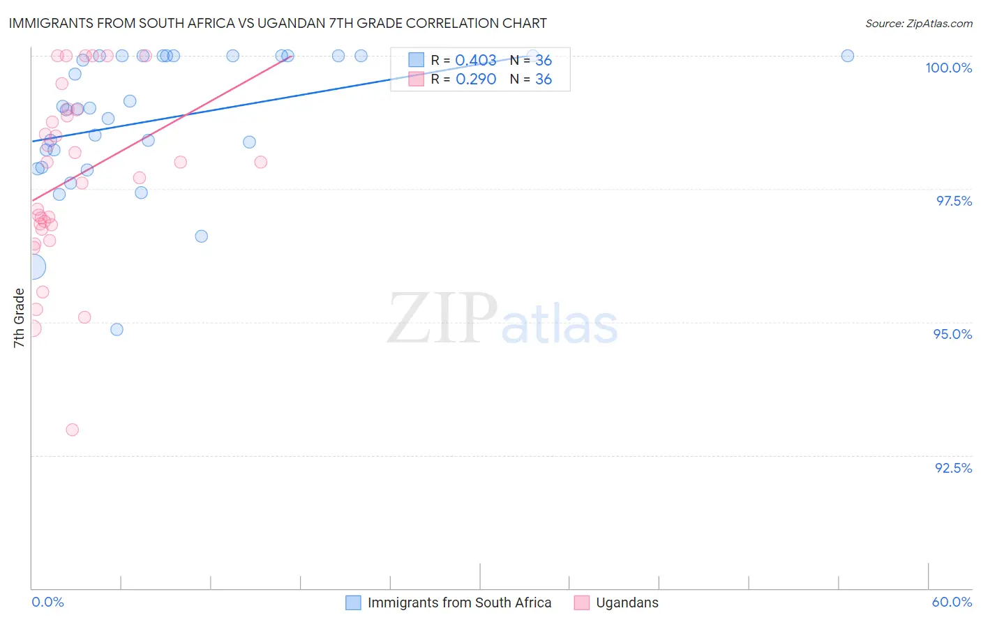 Immigrants from South Africa vs Ugandan 7th Grade