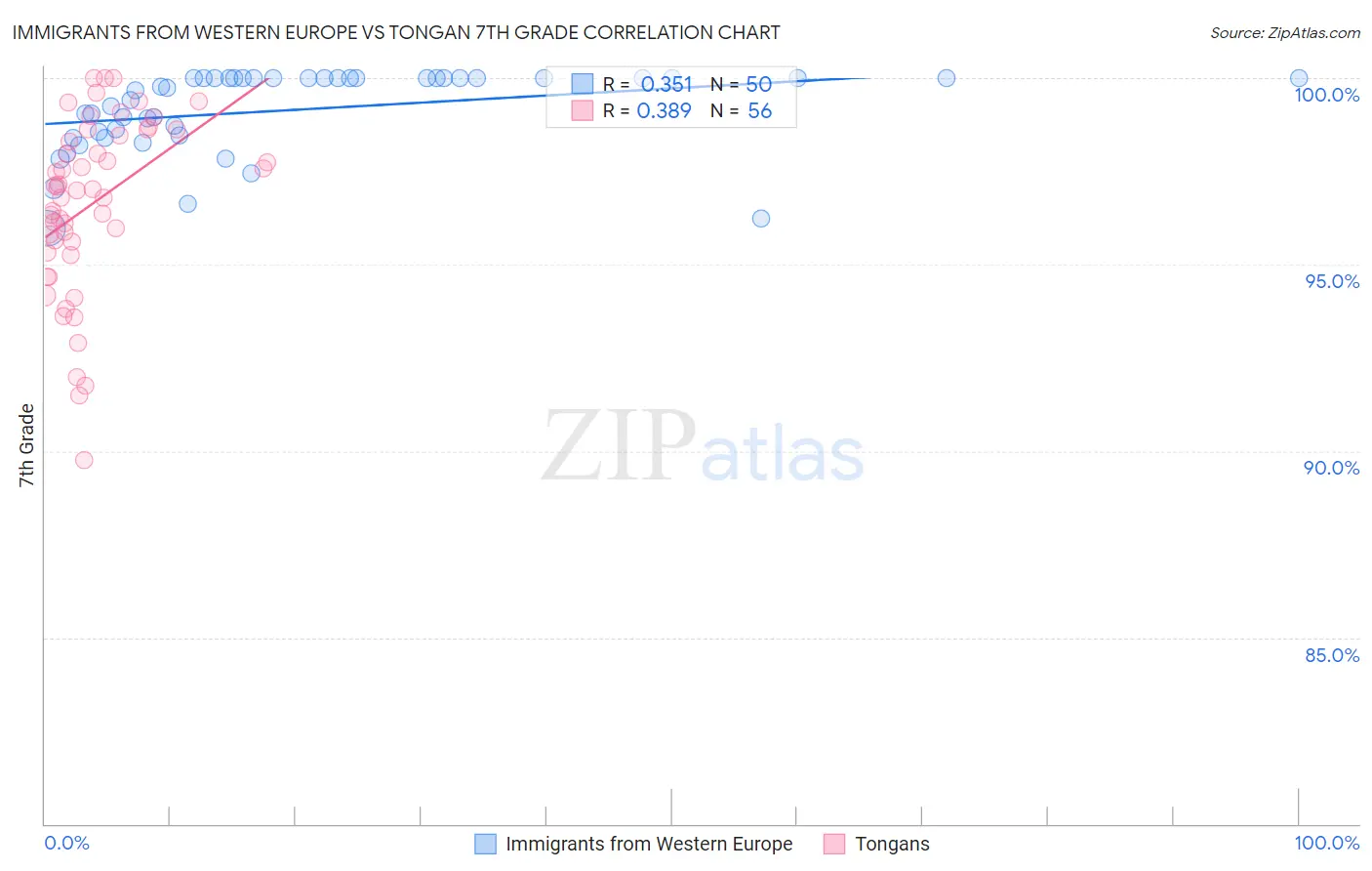 Immigrants from Western Europe vs Tongan 7th Grade