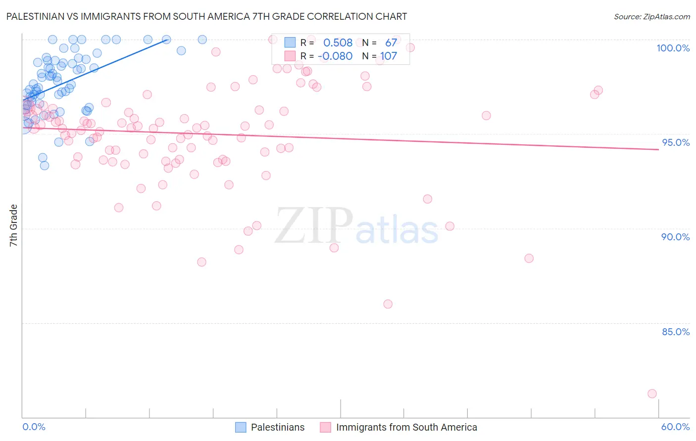Palestinian vs Immigrants from South America 7th Grade