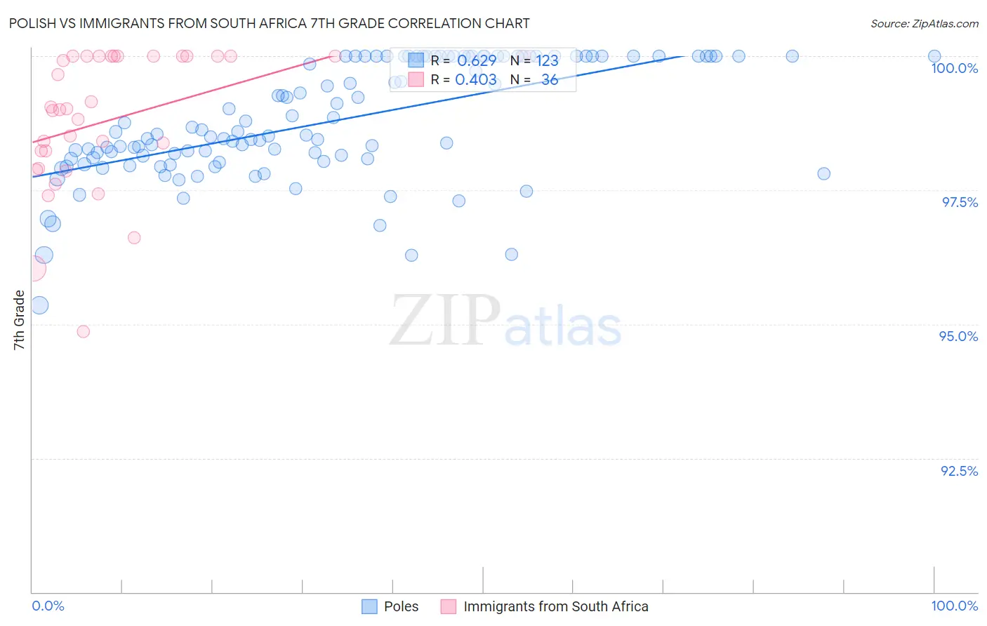 Polish vs Immigrants from South Africa 7th Grade