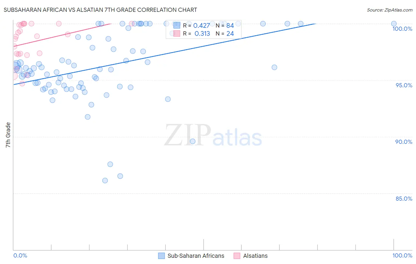 Subsaharan African vs Alsatian 7th Grade