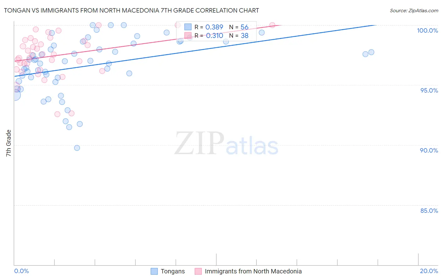 Tongan vs Immigrants from North Macedonia 7th Grade