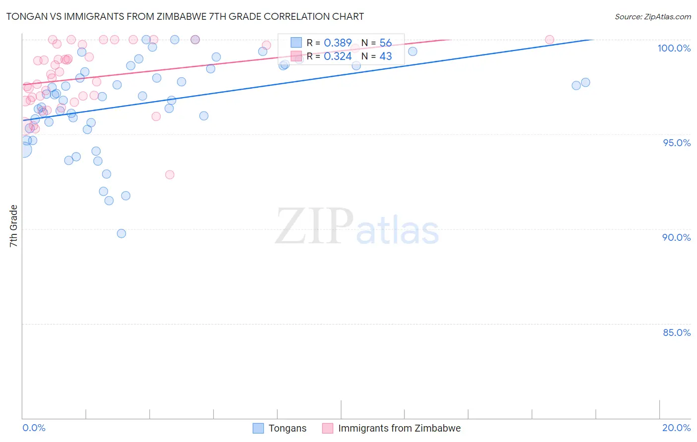 Tongan vs Immigrants from Zimbabwe 7th Grade