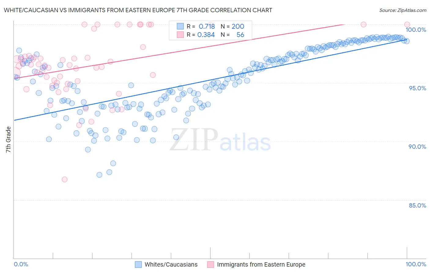 White/Caucasian vs Immigrants from Eastern Europe 7th Grade