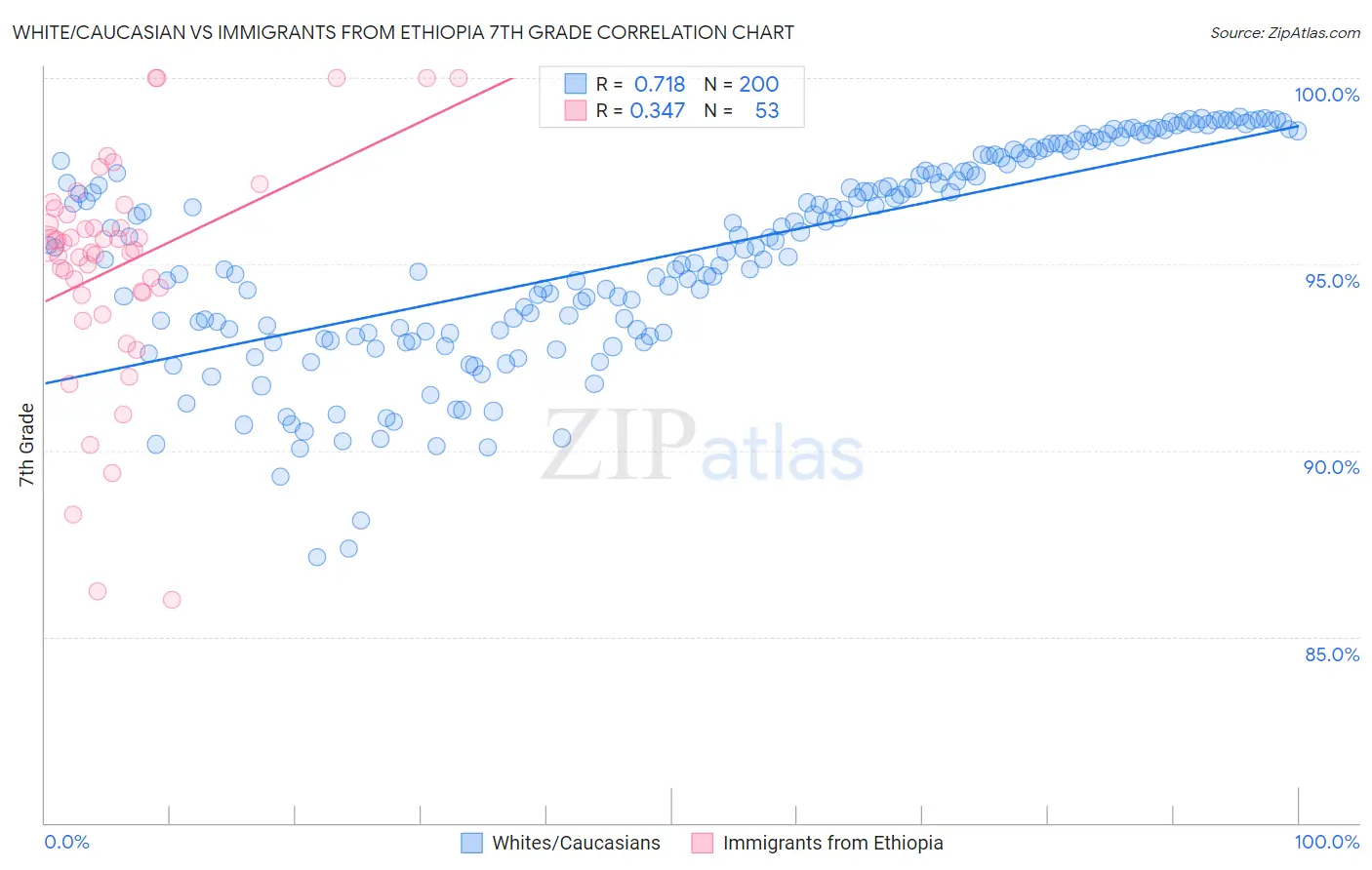 White/Caucasian vs Immigrants from Ethiopia 7th Grade