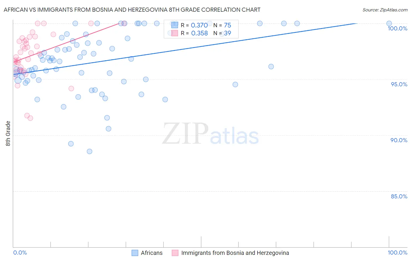 African vs Immigrants from Bosnia and Herzegovina 8th Grade