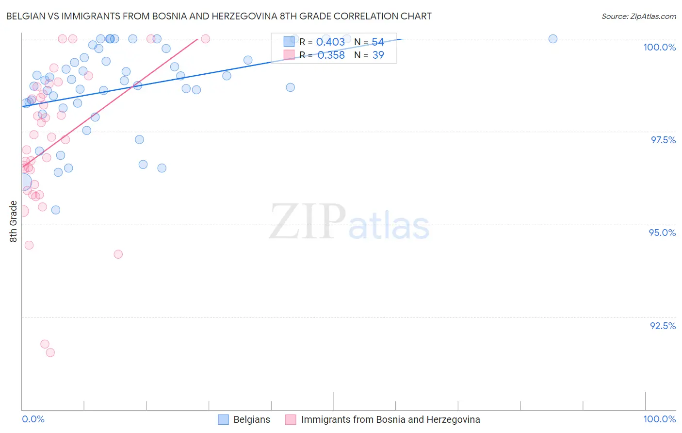 Belgian vs Immigrants from Bosnia and Herzegovina 8th Grade