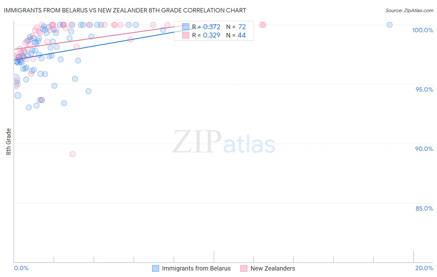 Immigrants from Belarus vs New Zealander 8th Grade