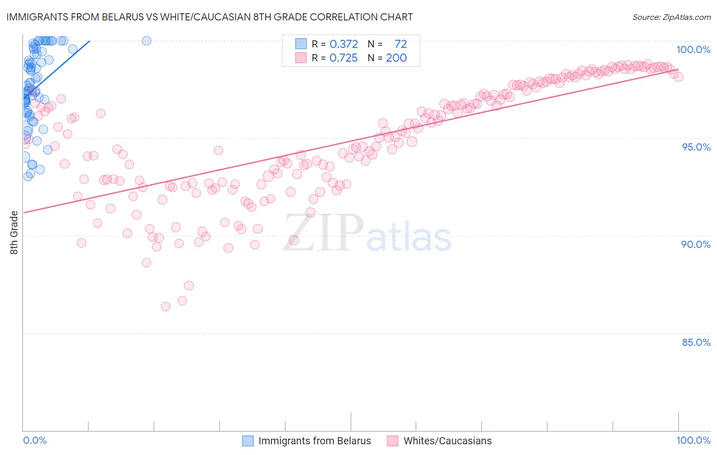 Immigrants from Belarus vs White/Caucasian 8th Grade